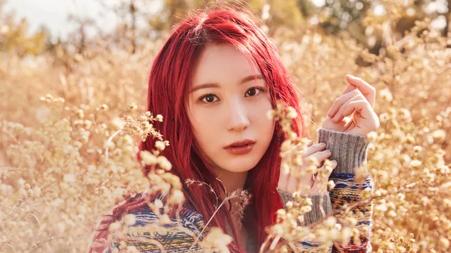 แชยอนในเอ็มวี 'One Reeler Color of Youth' จาก IZ*ONE (วงดนตรีเคป๊อป) 4K วอลเปเปอร์