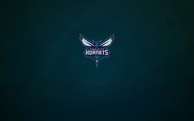 Charlotte Hornets NBA download