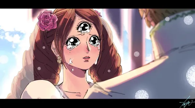 Ταπετσαρία Γάμος πουτίγκας Charlotte και Sanji vinsmoke 2K