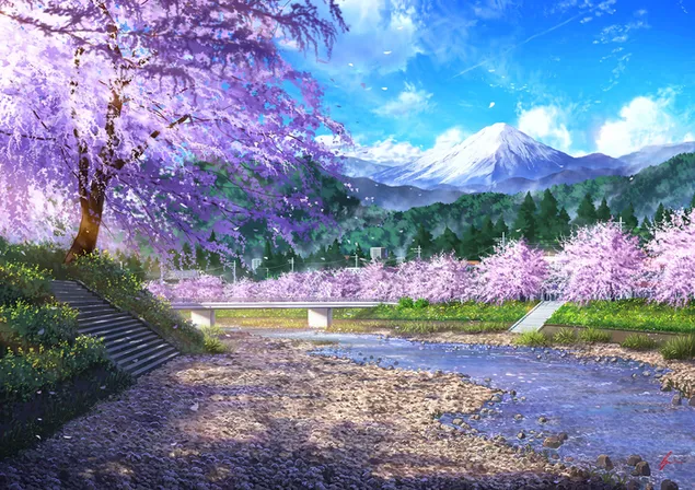 Cherry Blossoms in the Sea HD wallpaper