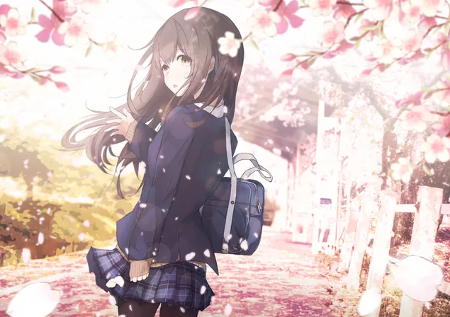 桜の季節 2K 壁紙