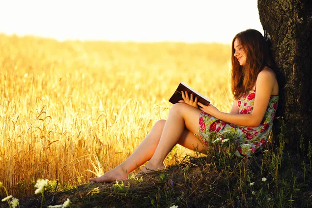 Chica morena leyendo un libro con un fondo de campo de trigo dorado