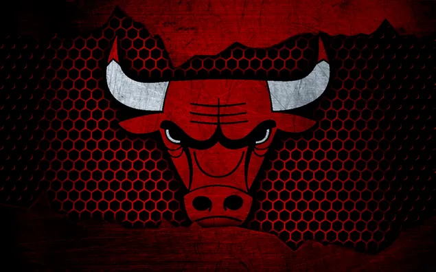 Chicago Bulls - Logotipo (cuadrícula)