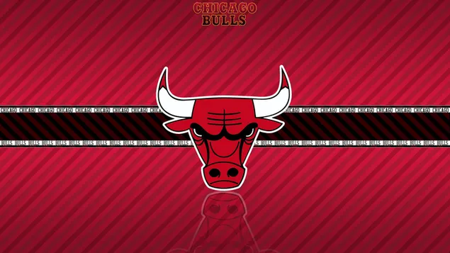 Chicago Bulls NBA HD Hintergrundbild