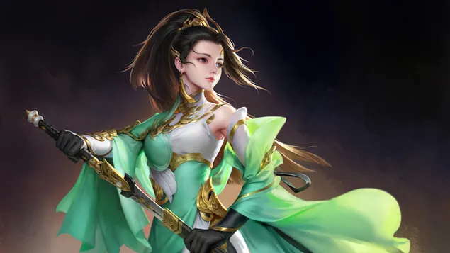 Chinese Sword Warrior download