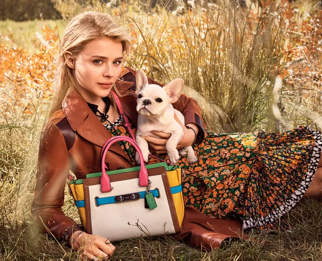 Chloe Grace Moretz con elegante bolso de mano y un perro 4K fondo de pantalla