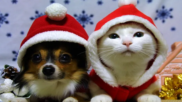 動物のクリスマス