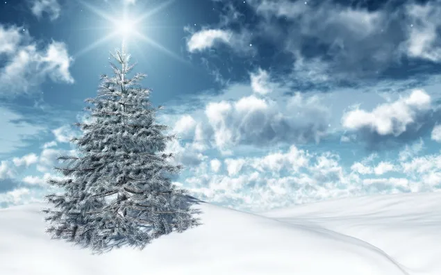 Salju dan Pohon Natal