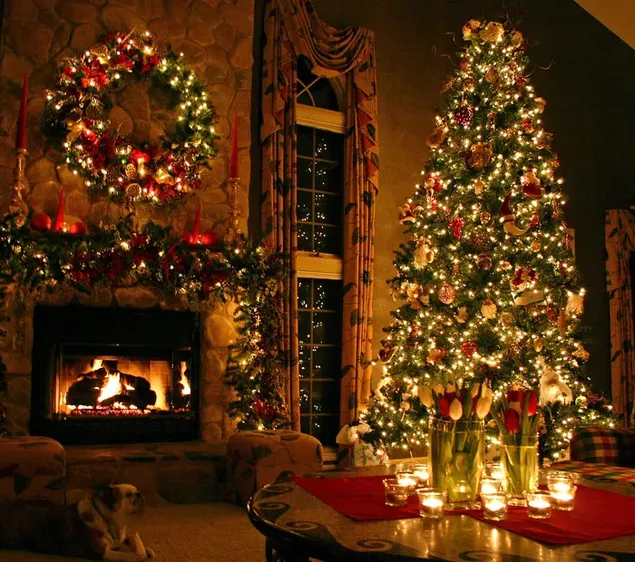 Pohon Natal lampu yang indah