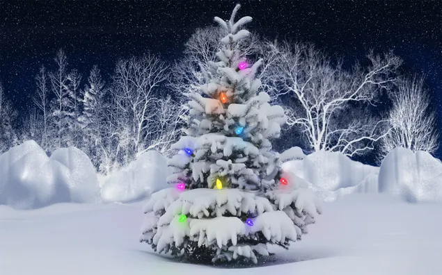 Pohon Natal di Malam Hari