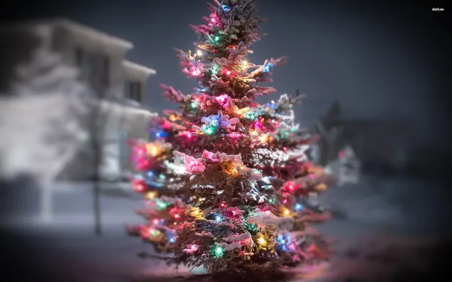 pencahayaan pohon natal