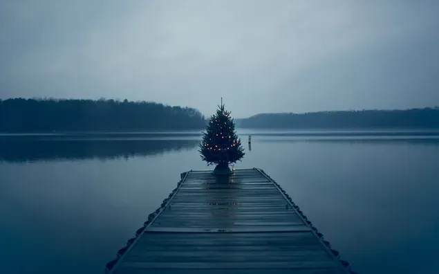 Cây thông noel gần sông