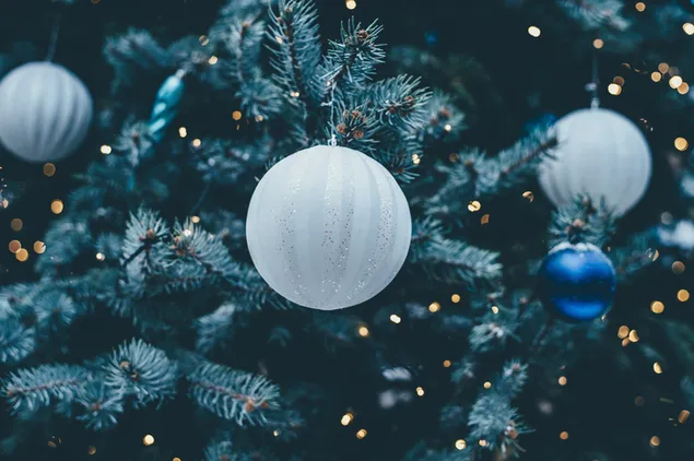 クリスマスツリーは白と青のボールで輝いています