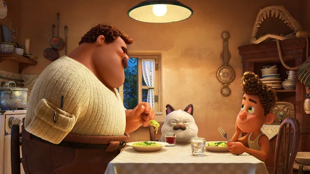 cau alberto stahnout