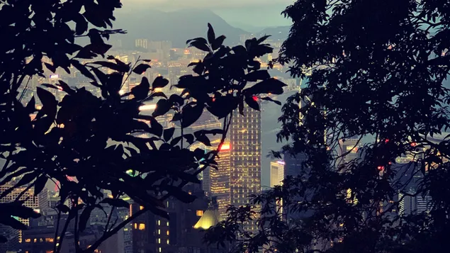 Преземете Поглед на градскиот пејзаж од врвот - Хонг Конг
