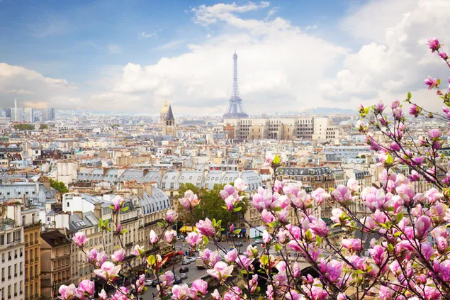 City of Love Paris