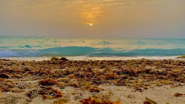 Océano azul claro durante el amanecer descargar