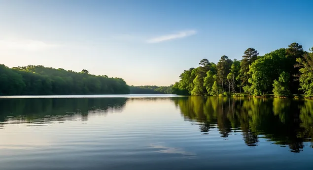 vr zrykhh tslvl zvrkh m`l mymy gm shqtym, `m `tsym yrvqym shvp`ym hmshtqpym yph `l pny hshtkh bsbybh tb`yt vshlvvh. hvrd