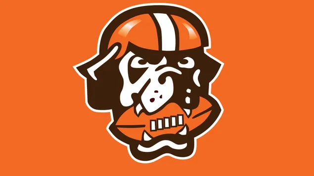 Cleveland browns orange and black sports team logo