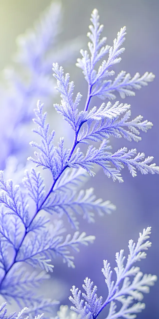 Tapeta Detailný záber na svetloružovú vetvu s ostrými detailmi a vynikajúcou čistotou 2K