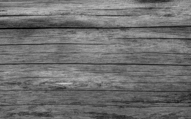 Pilko medinio paviršiaus nuotrauka iš arti, lenta, pilka, grūdėtumas, tekstūra HD ekrano užsklanda