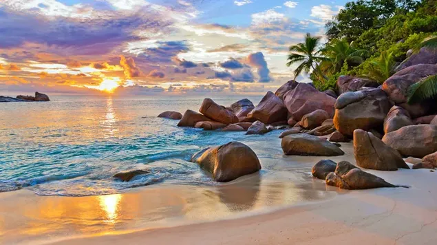 Pemandangan alam cerah berawan dengan batu dan pohon palem di pantai unduhan