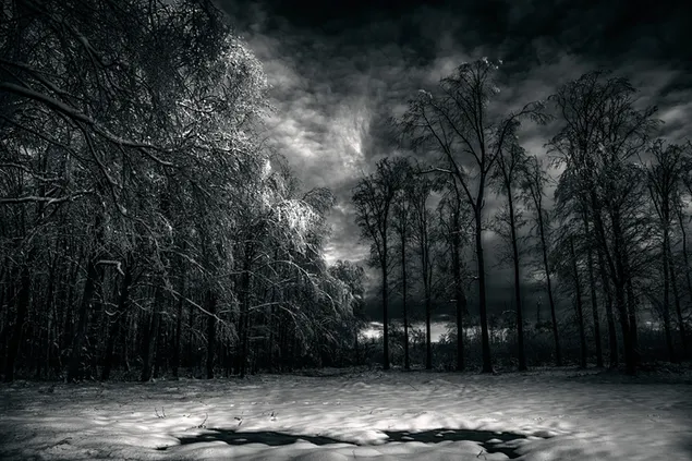 Cloudy Winter Night download