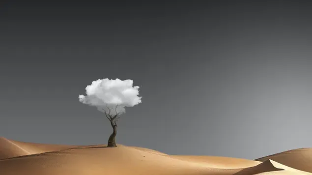 Grups de núvols blancs sobre branques d'arbres seques al mig del desert sota un cel gris baixada