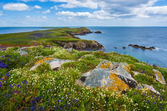 Küste von Irland 4K Hintergrundbild