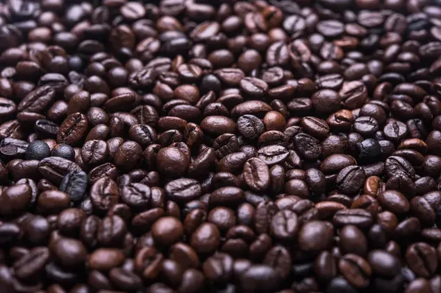 Coffe Beans close up download