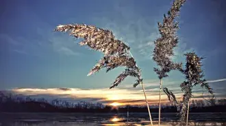 cold sunset preuzmi