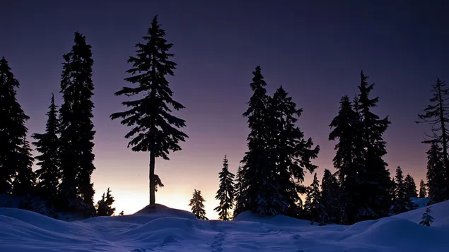 Colina de invierno, puesta de sol