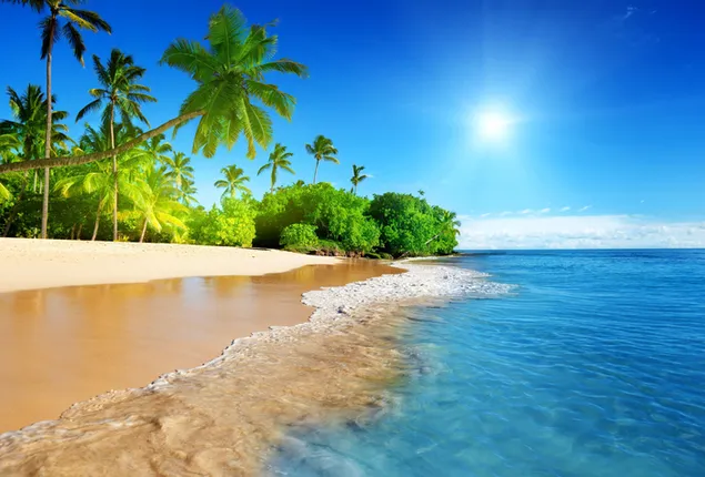 Beach wallpapers and backgrounds download for free | Page 1