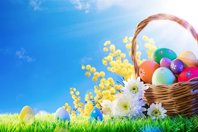 Colorful Easter Eggs & Flowers download