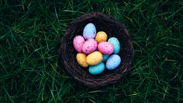 Colorful Easter Eggs on a brown basket in the grass 4K wallpaper