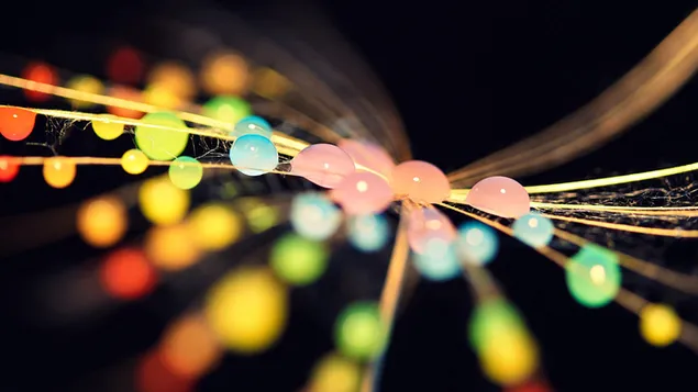 fargerike former makro skudd nedlasting