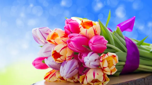 Hình nền Bó hoa tulip đầy màu sắc 2K