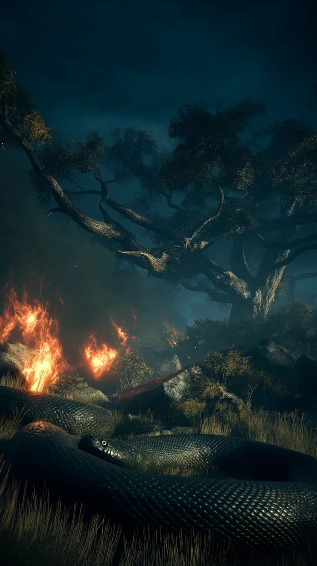 נחש קולוסאלי בסצנת יער בוער מיסטית HD טפט