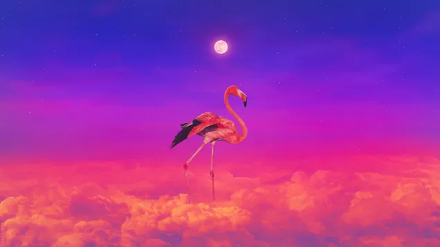 dacaeroun migug peulraminggo daunrodeu