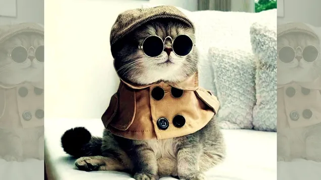 Kucing Keren dengan topi dan pakaian bergaya vintage unduhan