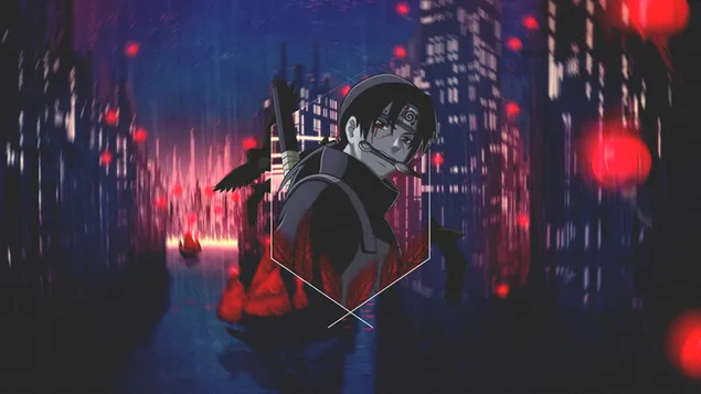 surigeomeul ibe mulgo issneun kulhan itaci daunrodeu