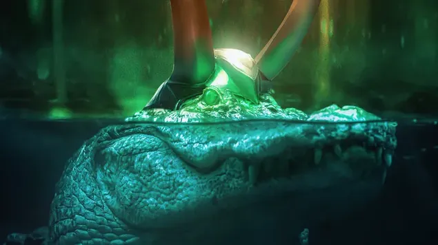 corki med kronen sin nedlasting