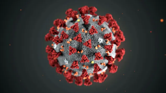 Coronavirus-model