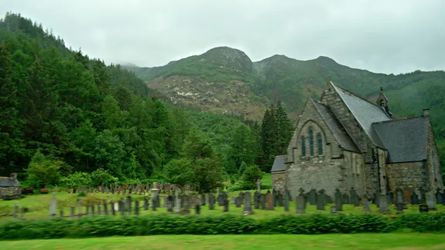 گورستان خزنده در جنگل کاغذدیواری  4K