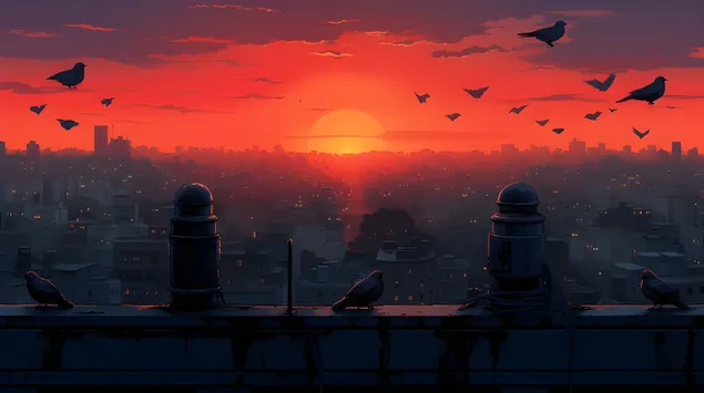 אופקי ארגמן: מבט על הגג של ציפורים ושקיעה מעל העיר 8K טפט