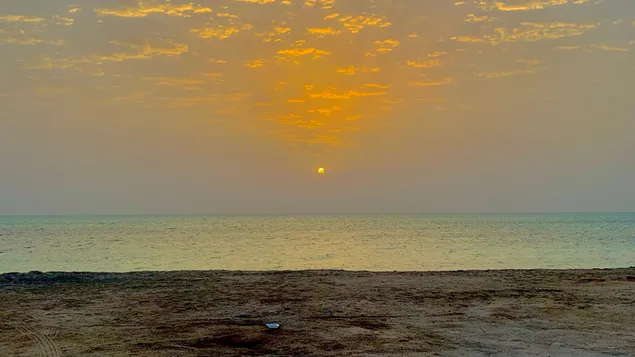 Crimson sunlight  4K wallpaper