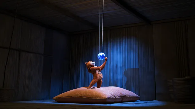 utelias kissa kurottaa kohti hohtavaa palloa pimeassa huoneessa lataa