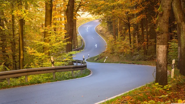 Carretera con curvas en otoño