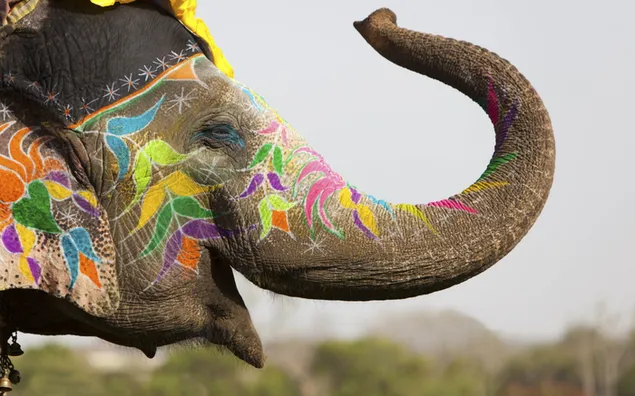 Cute animal elephant painted with colorful paints in front of blurry nature background
