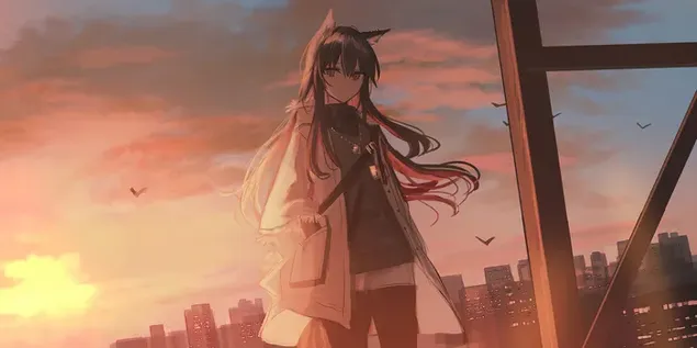 Cute anime girl alone in frount of sunset